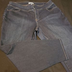 Lane Bryant, 24, dark wash denim